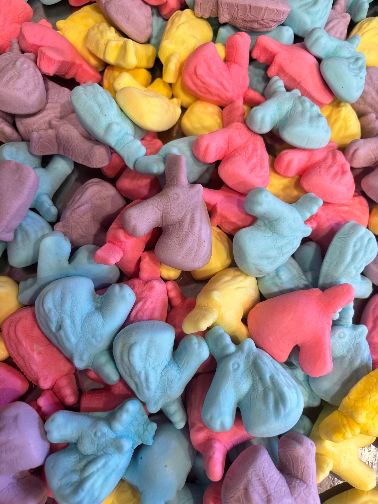 Freeze Dried Unicorns