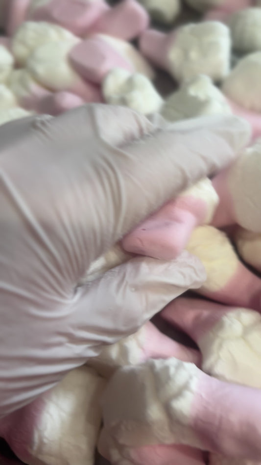 Freeze Dried Squashies