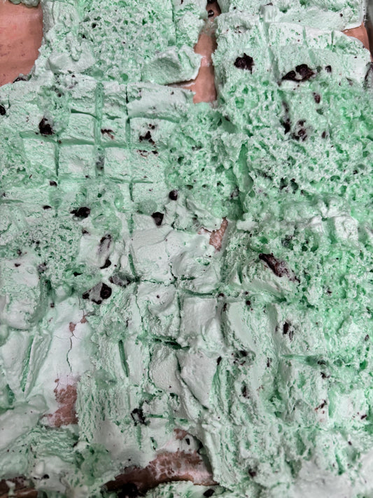 Freeze-Dried Mint Chip Ice Cream