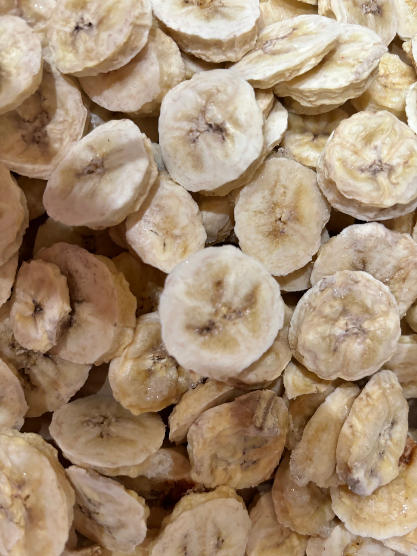 Freeze-Dried Organic Bananas