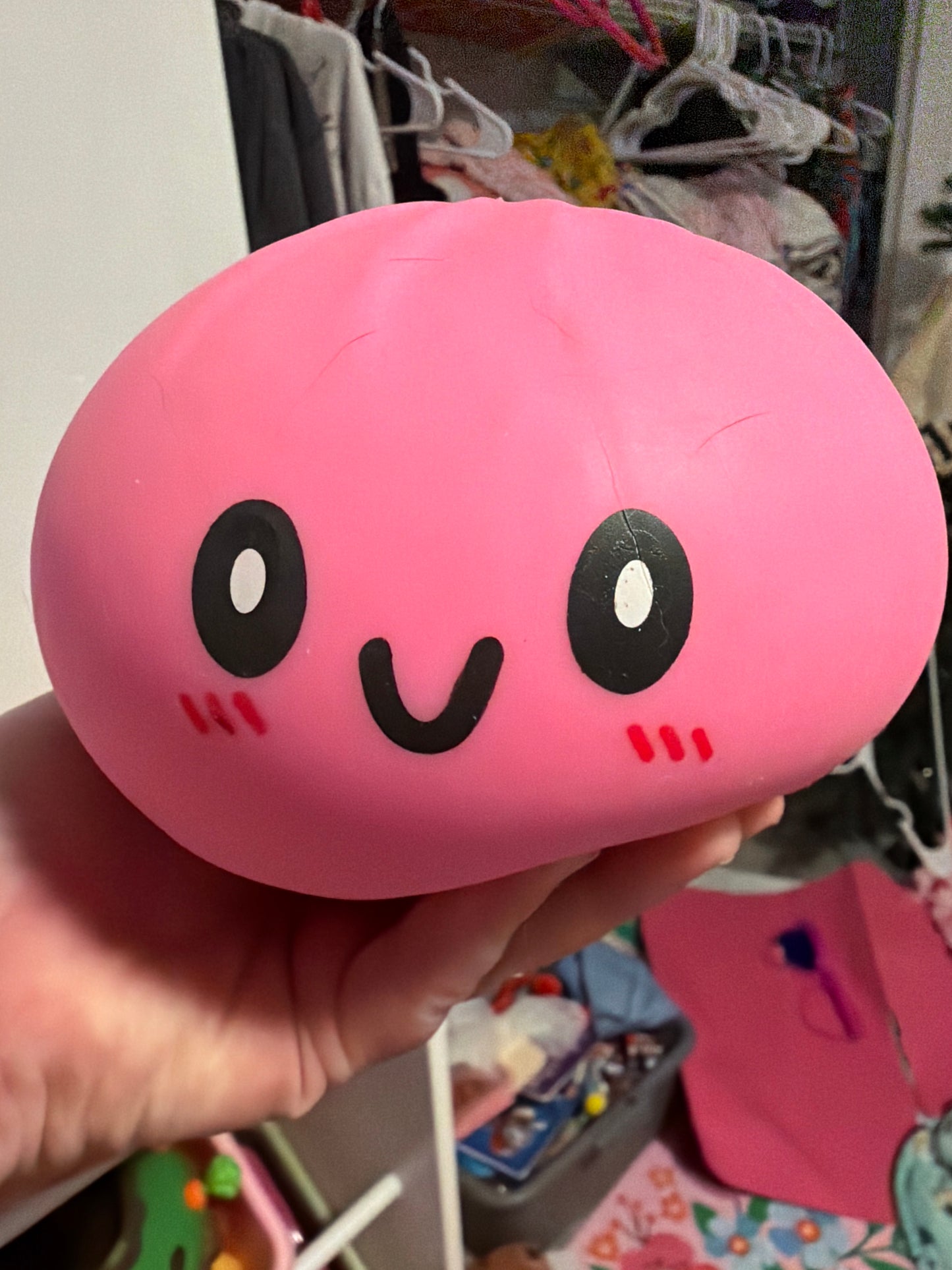 Large 6-7 inch Mystery Dumpling