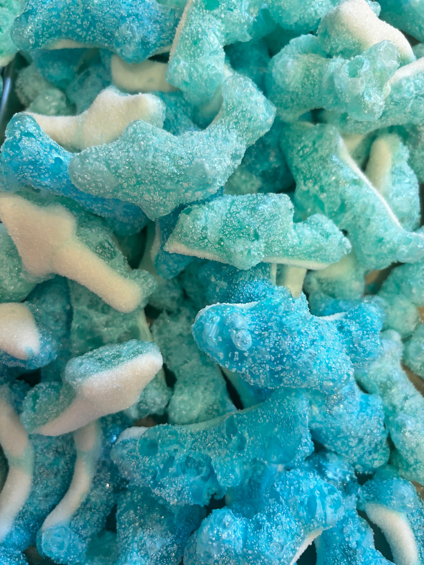 Freeze-Dried Sour Sharks