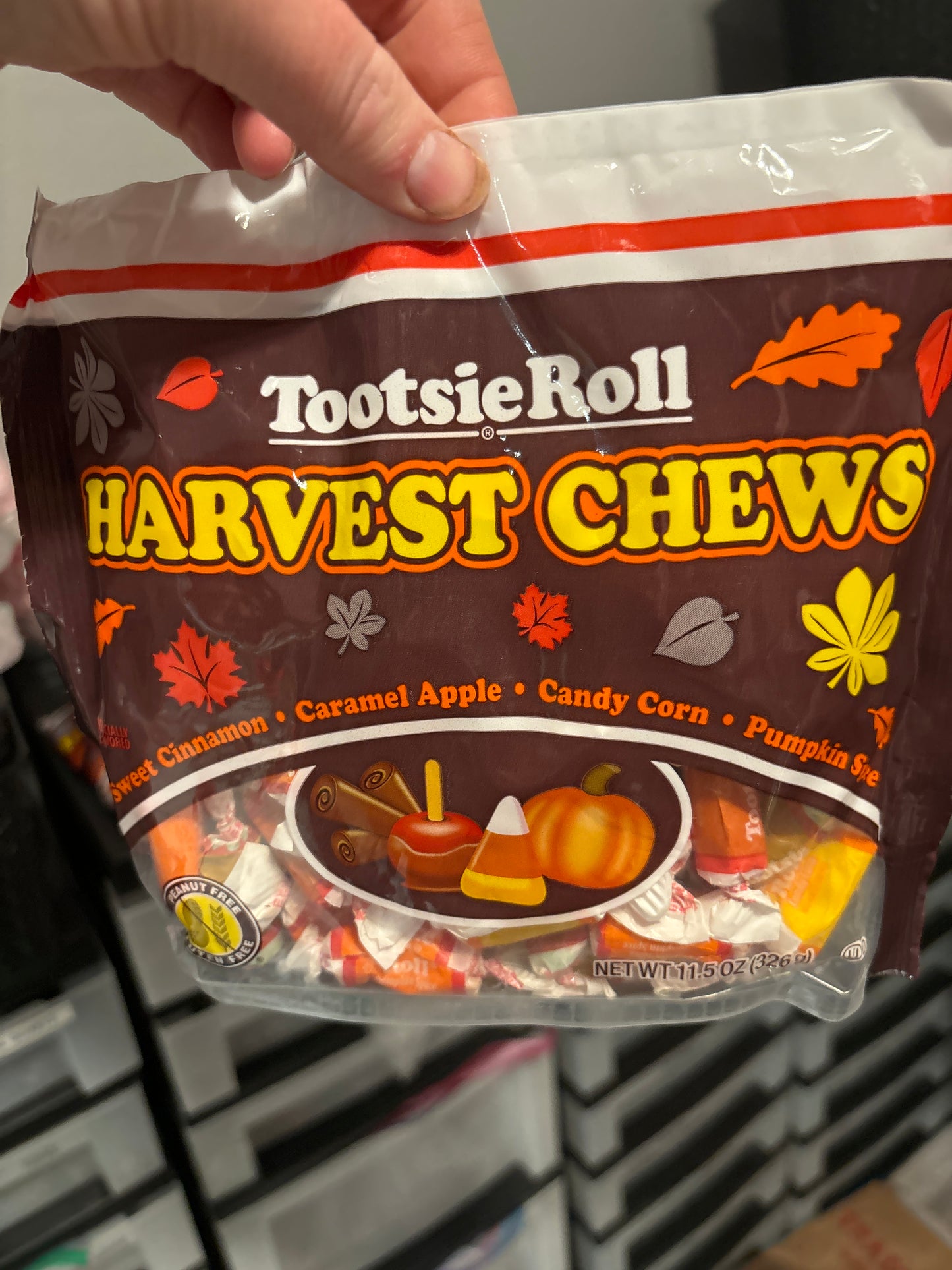 Freeze Dried Harvest Chew Fall Tootsie Rolls