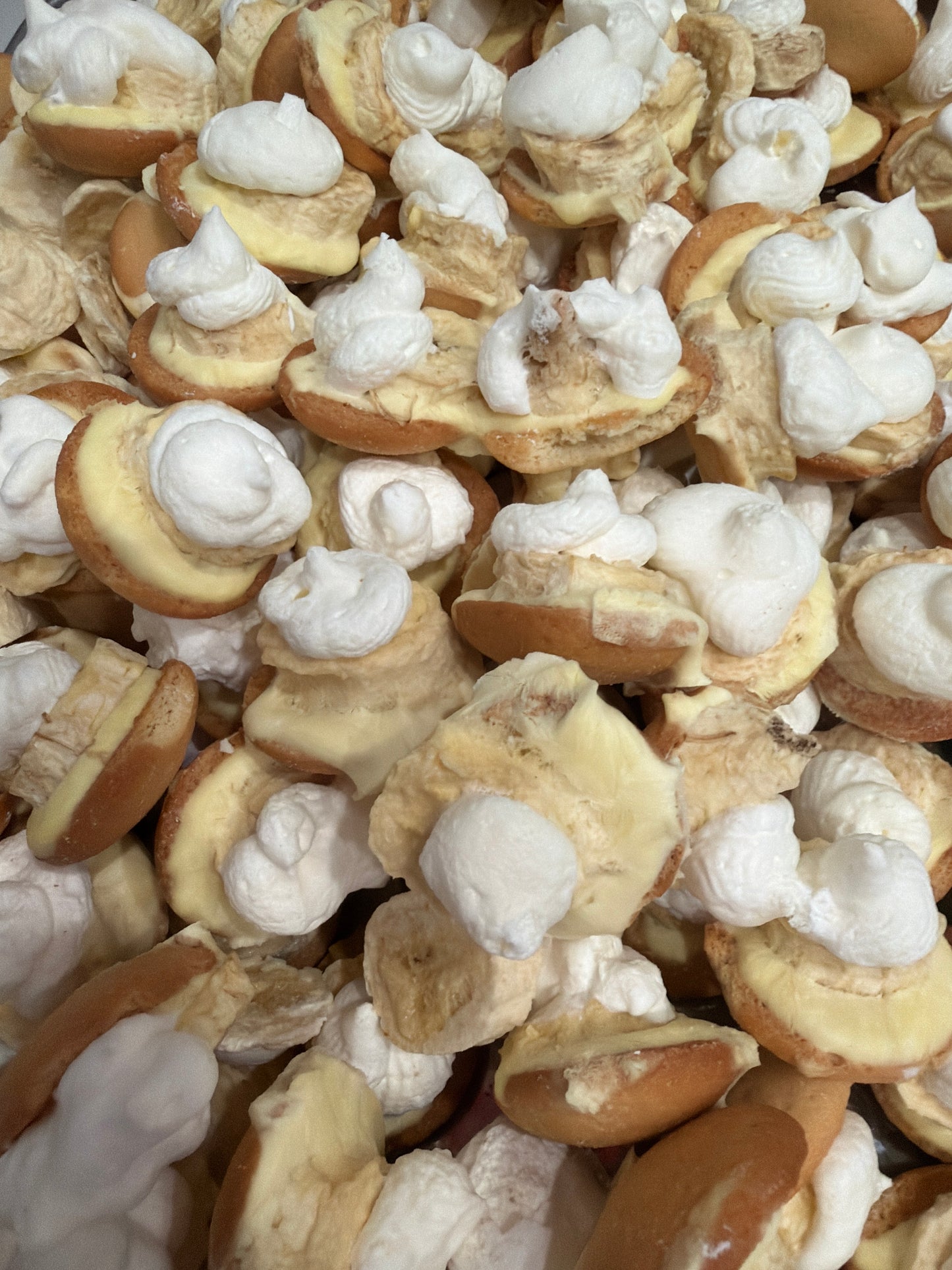 Freeze Dried Banana Pudding Bites