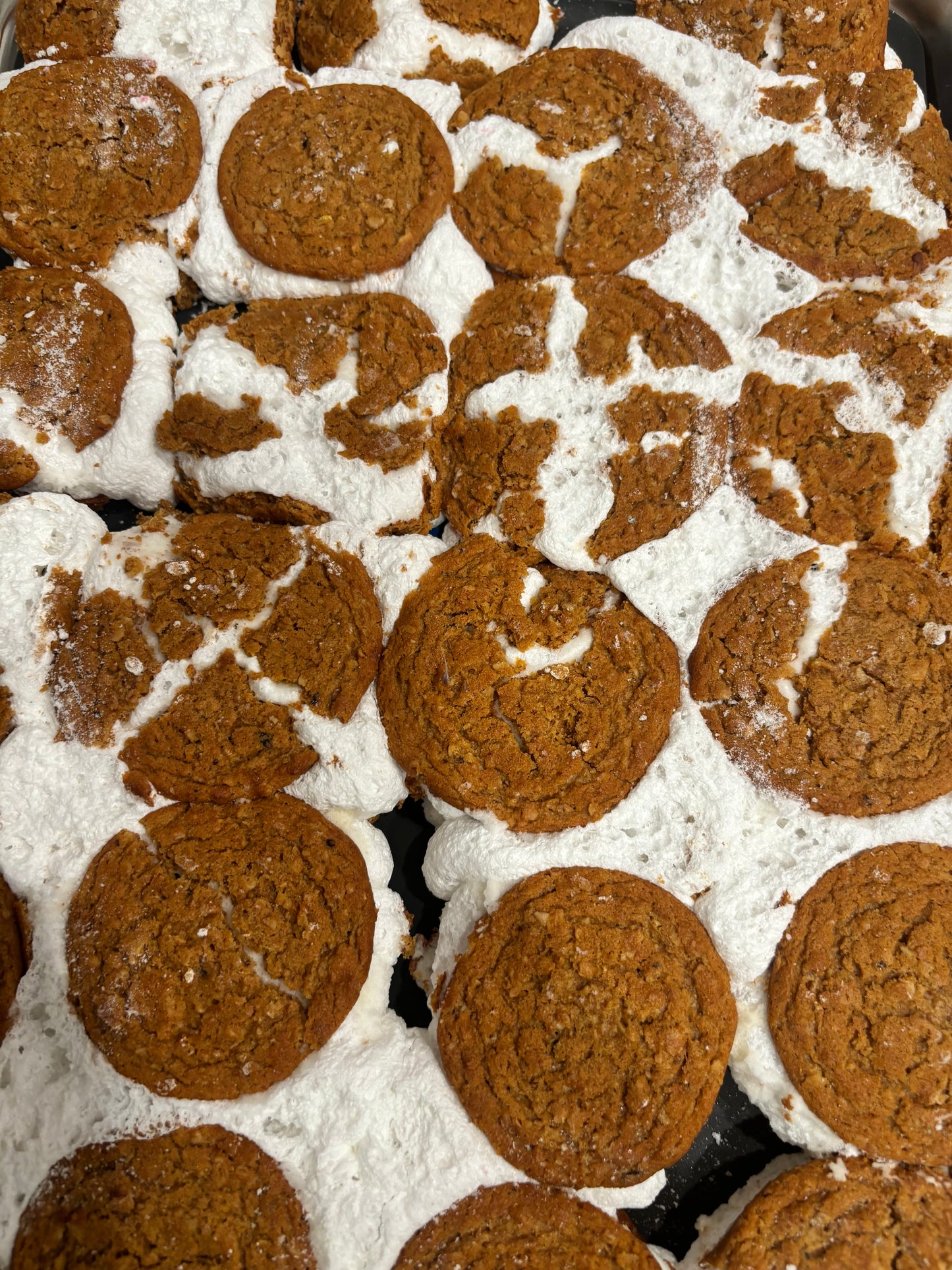 Freeze Dried Oatmeal Cream Pies