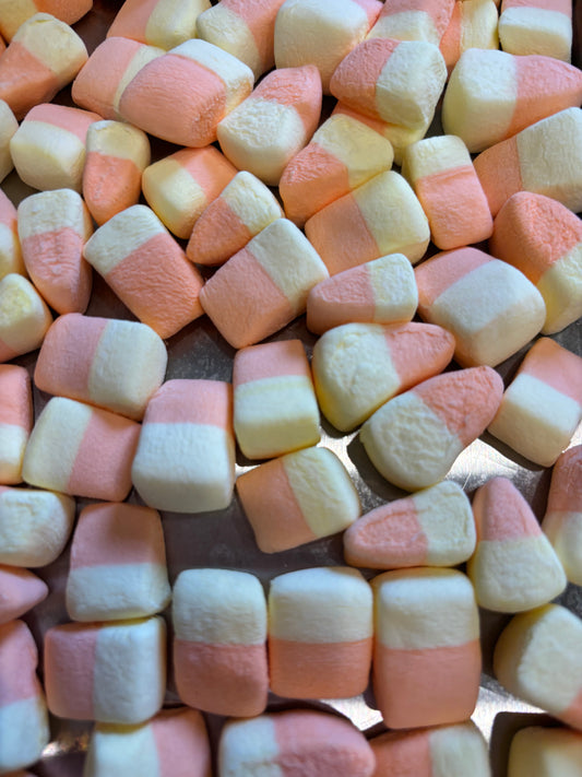 Freeze Dried Candy Corn Flavored Marshmallows