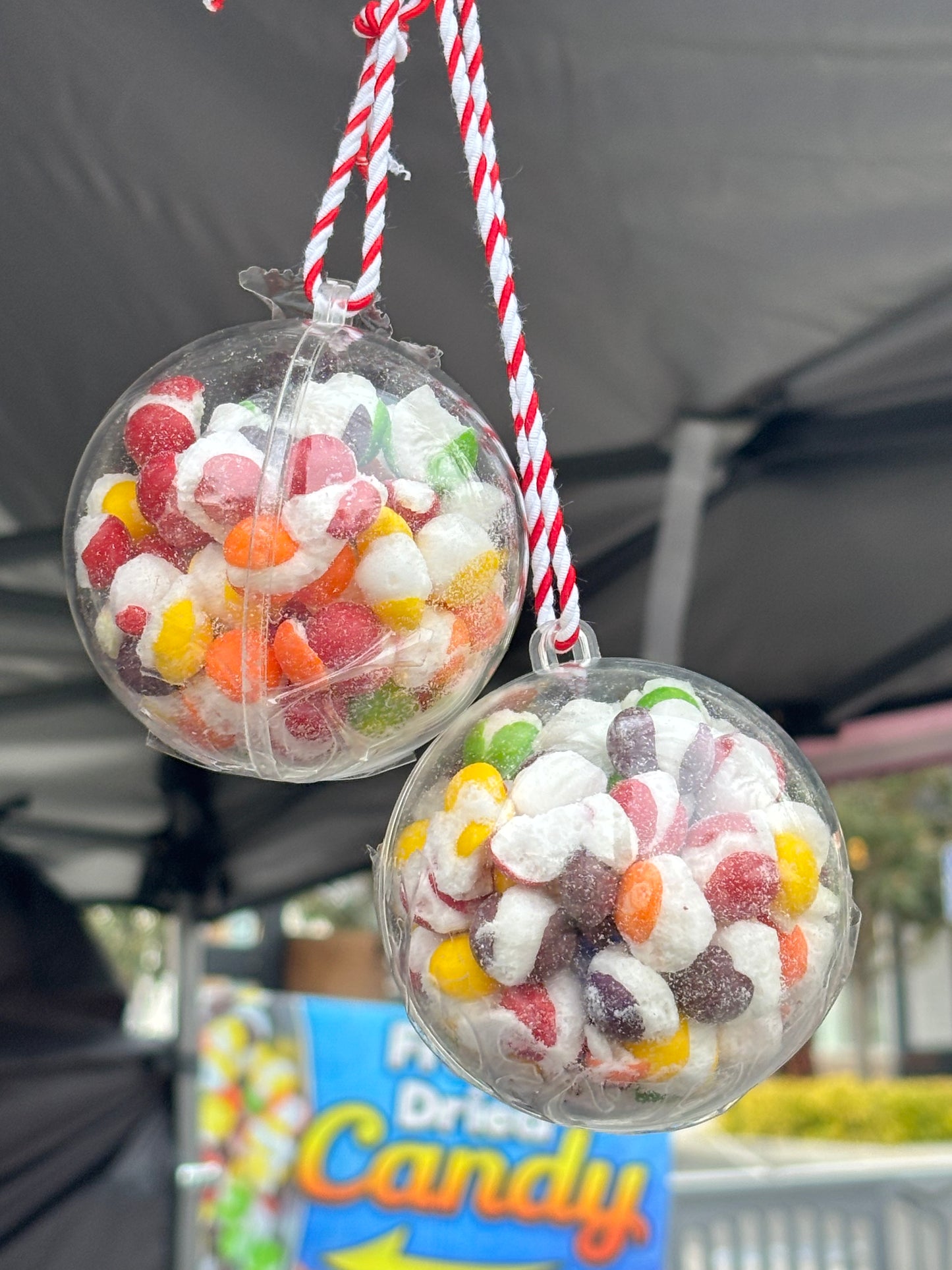 Freeze Dried Skittle Ornament