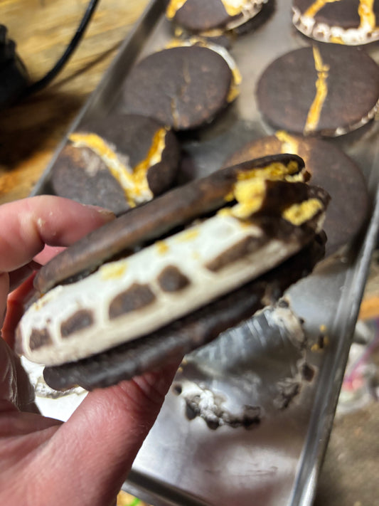 Freeze Dried Moonpies