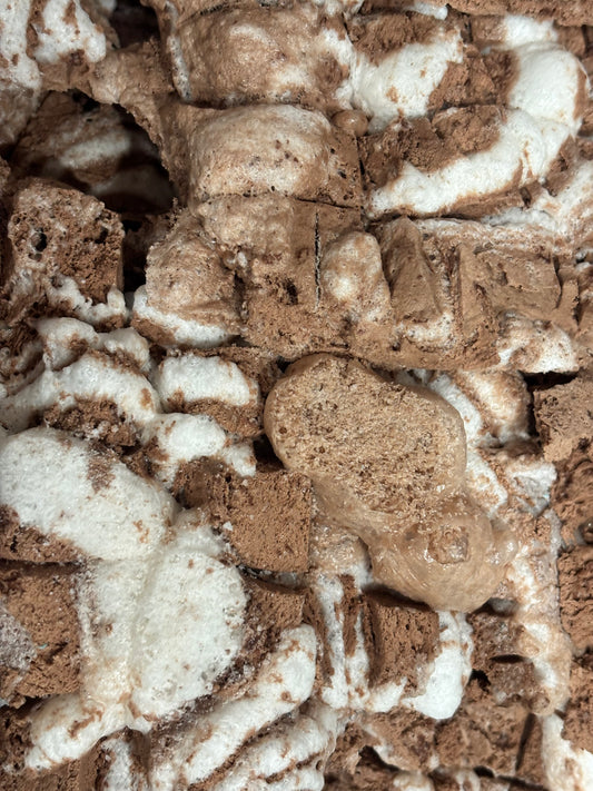 Freeze Dried Hot Cocoa Ice Cream